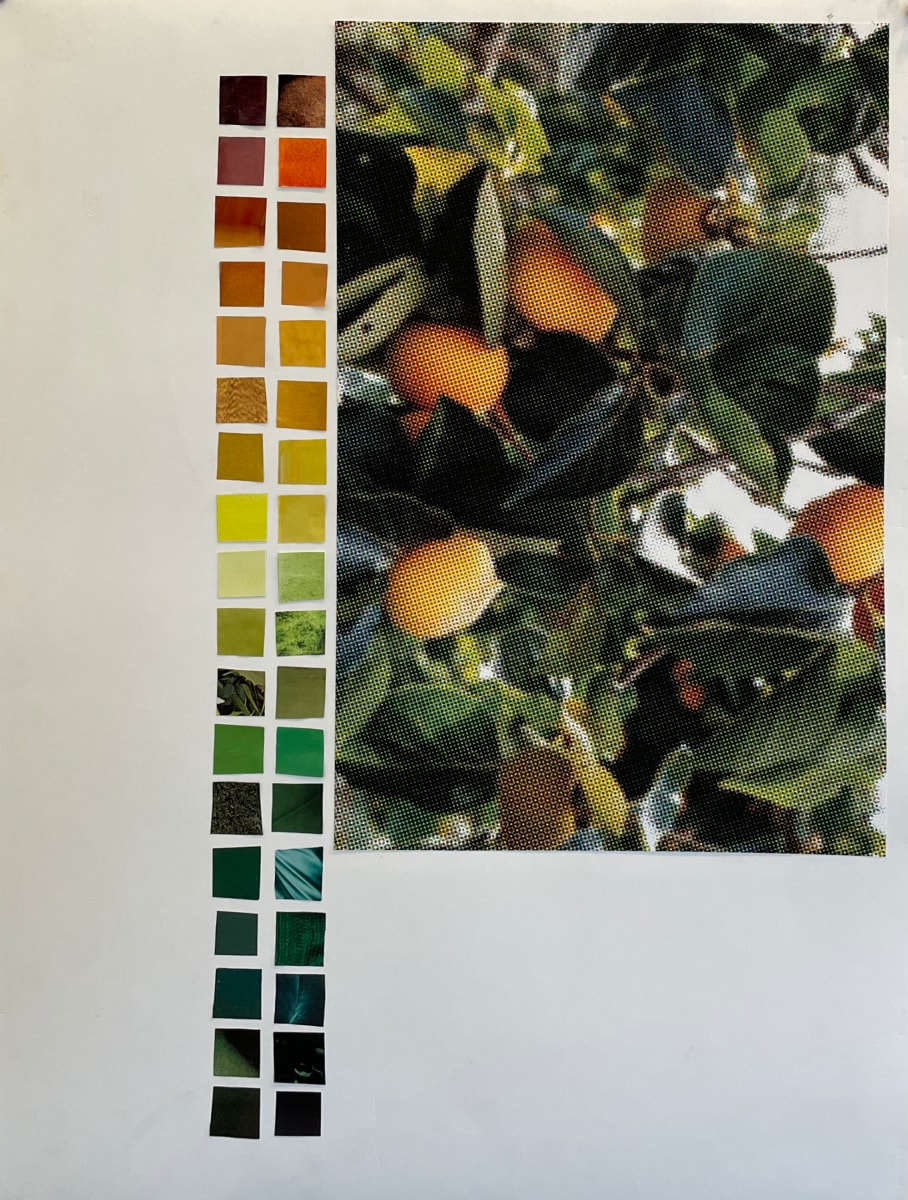 Persimmon by Suzy Kopf, Image 5.