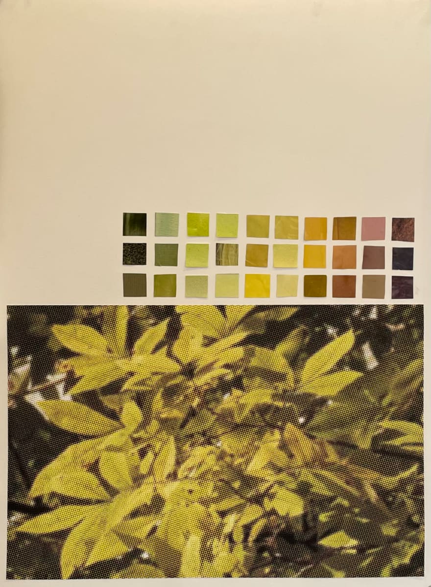 Ash by Suzy Kopf, Image 1.