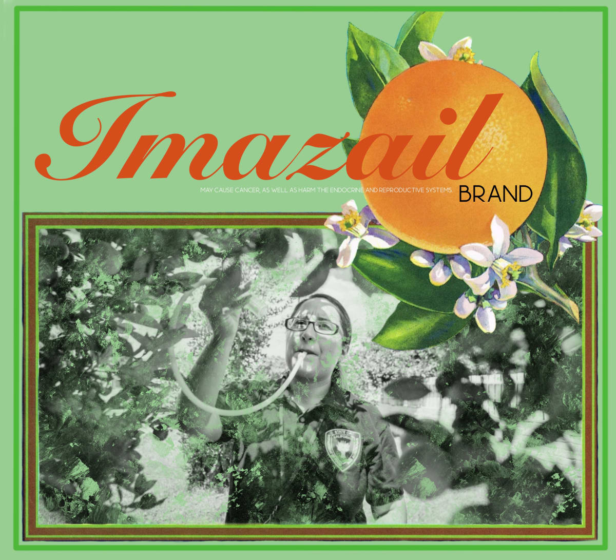 Imazail  Image: Imazail, 2022, Digital Print, 11”x10”, Edition of 5