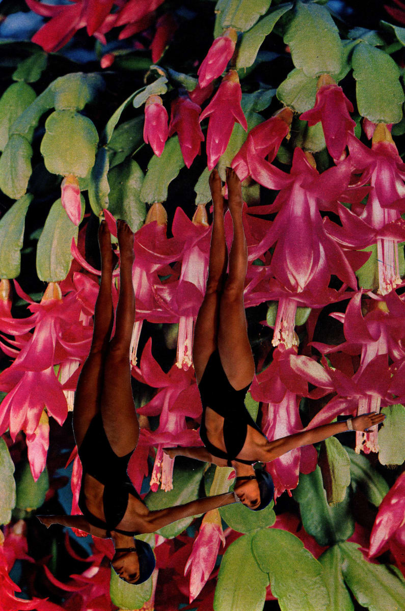 Inverted JLo by Suzy Kopf 