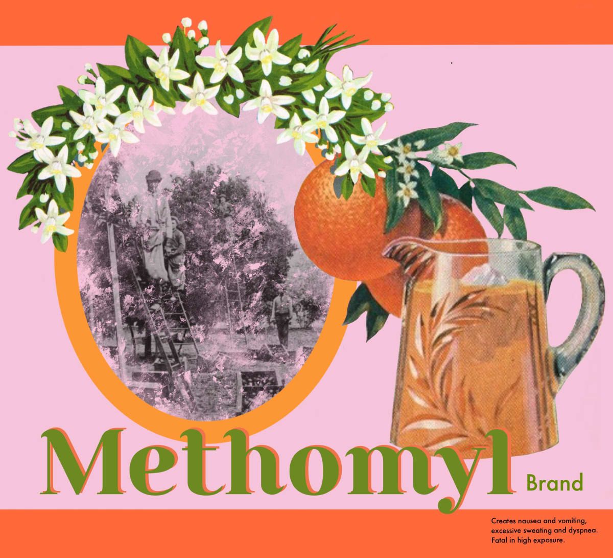 Methomyl  Image: Methomyl, 2022, Digital Print, 11”x10”, Edition of 5