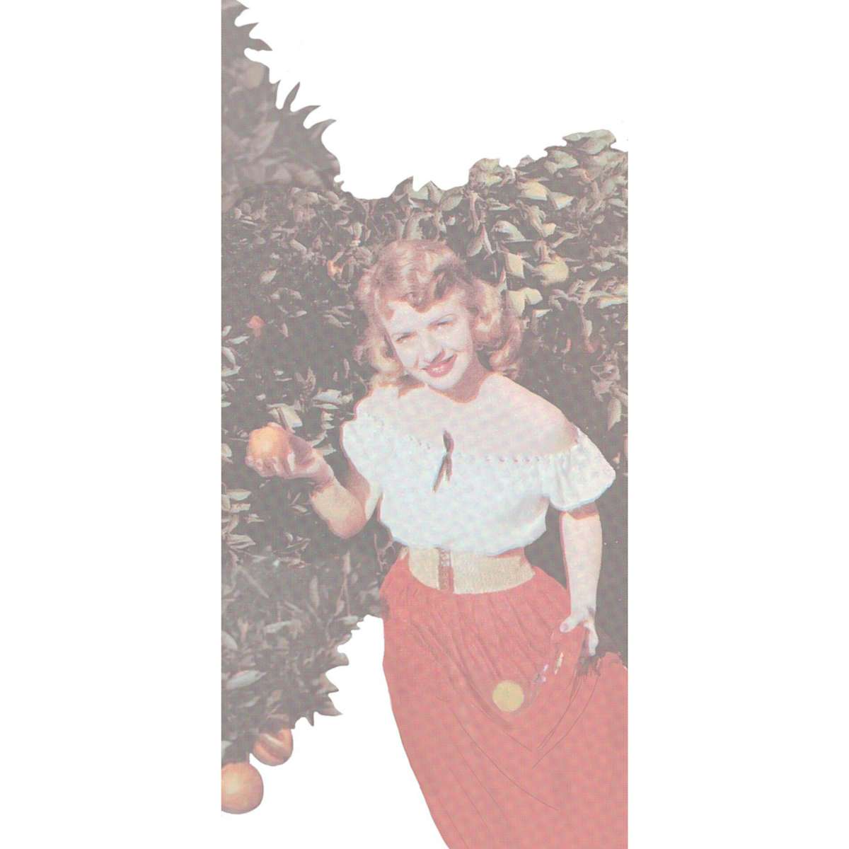 Navel, Image 4.