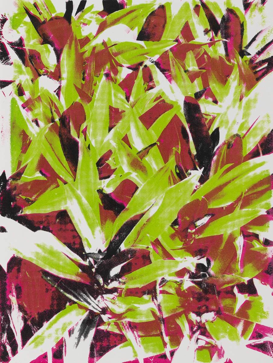 Oyster Plant by Suzy Kopf 