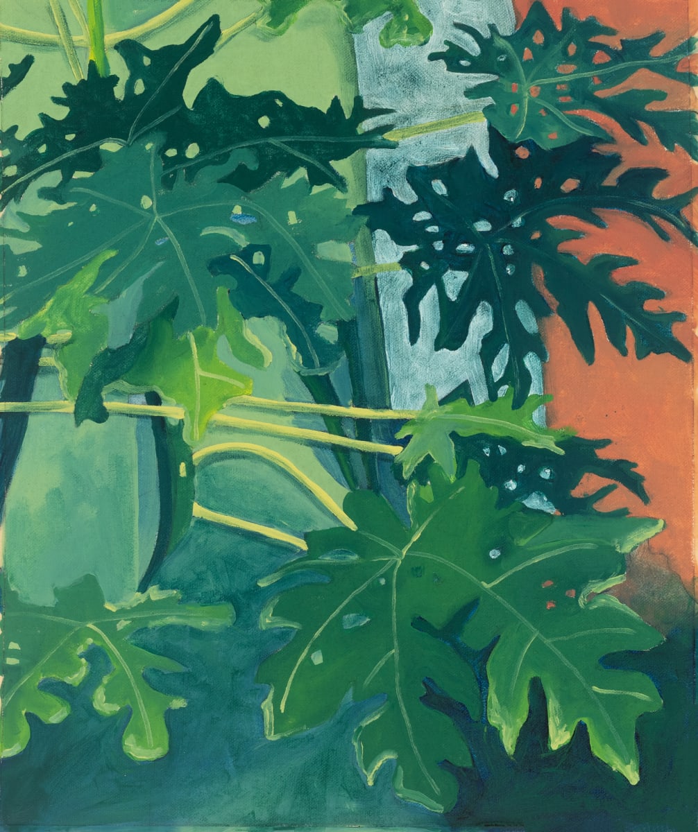 Philodendron, Image 1.
