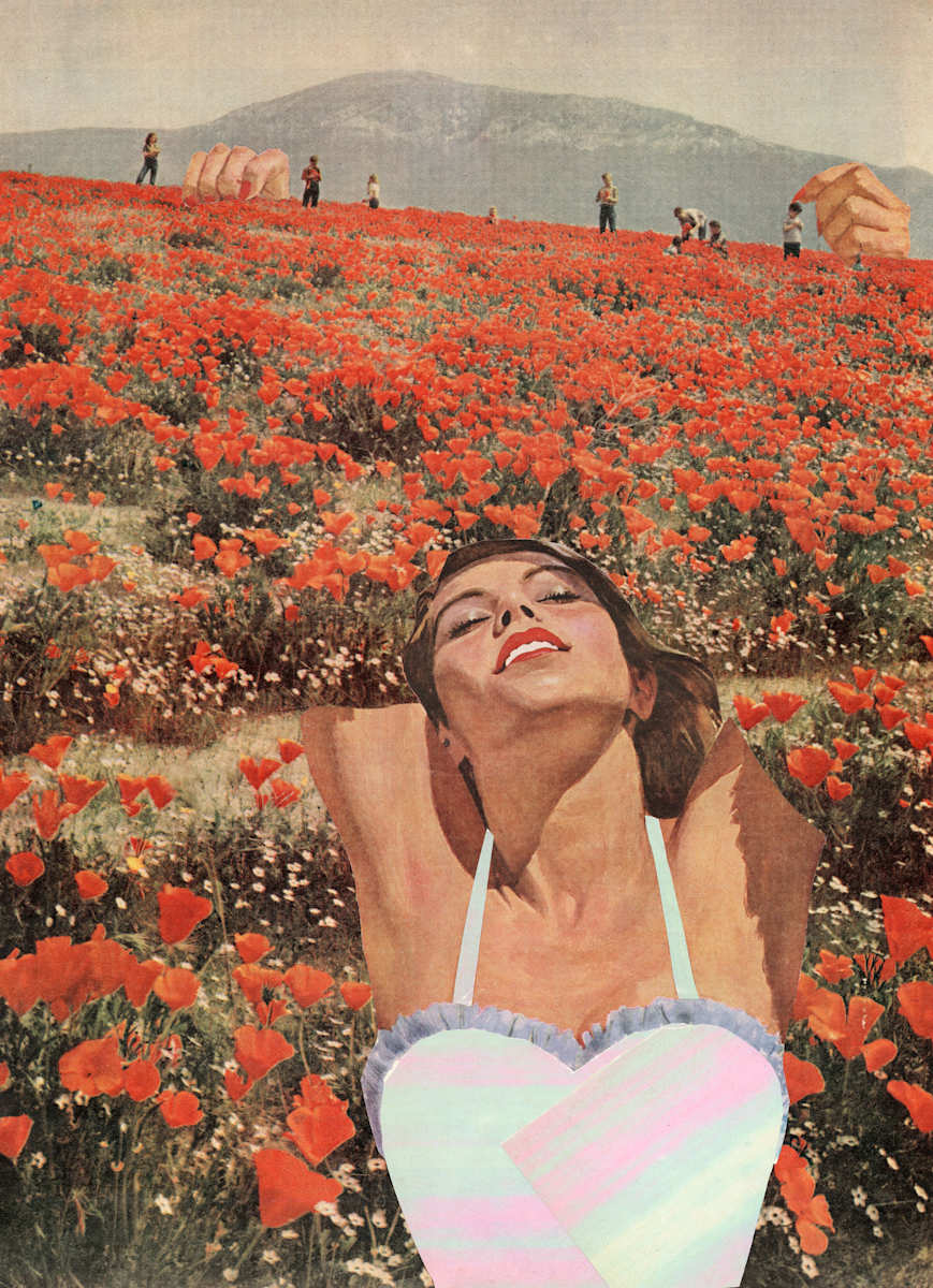 Poppy Ecstasy by Suzy Kopf 