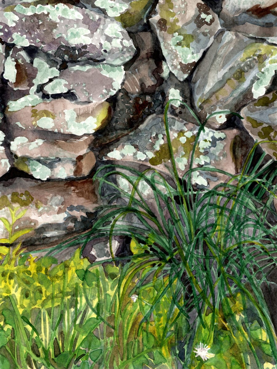 Rock Wall 1 by Suzy Kopf 