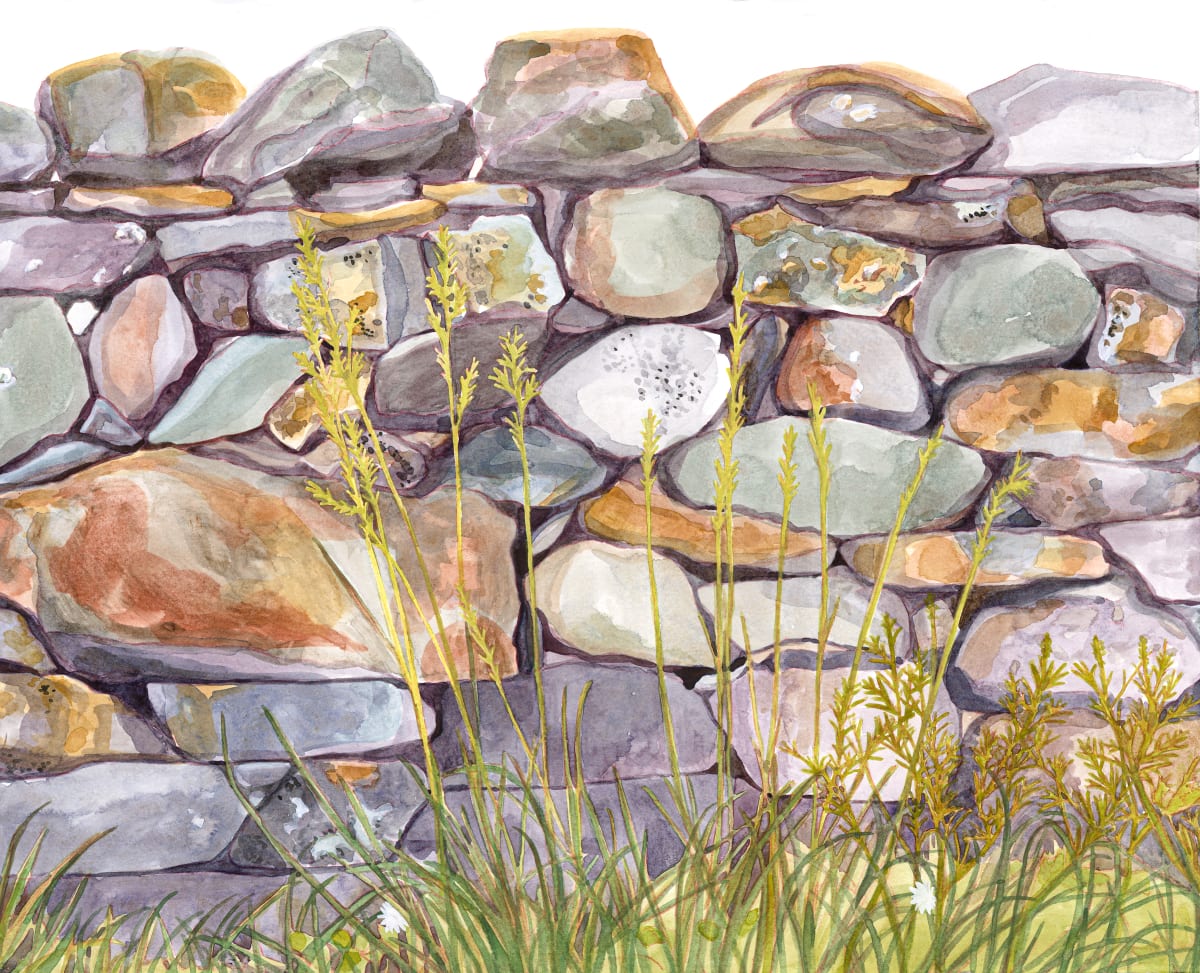 Rock Wall 2 by Suzy Kopf 