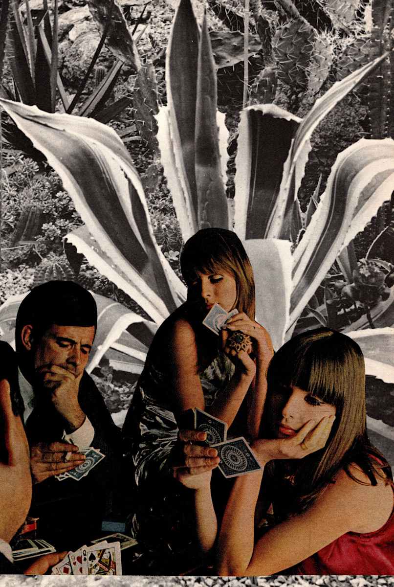 She's A Card by Suzy Kopf, Image 11.