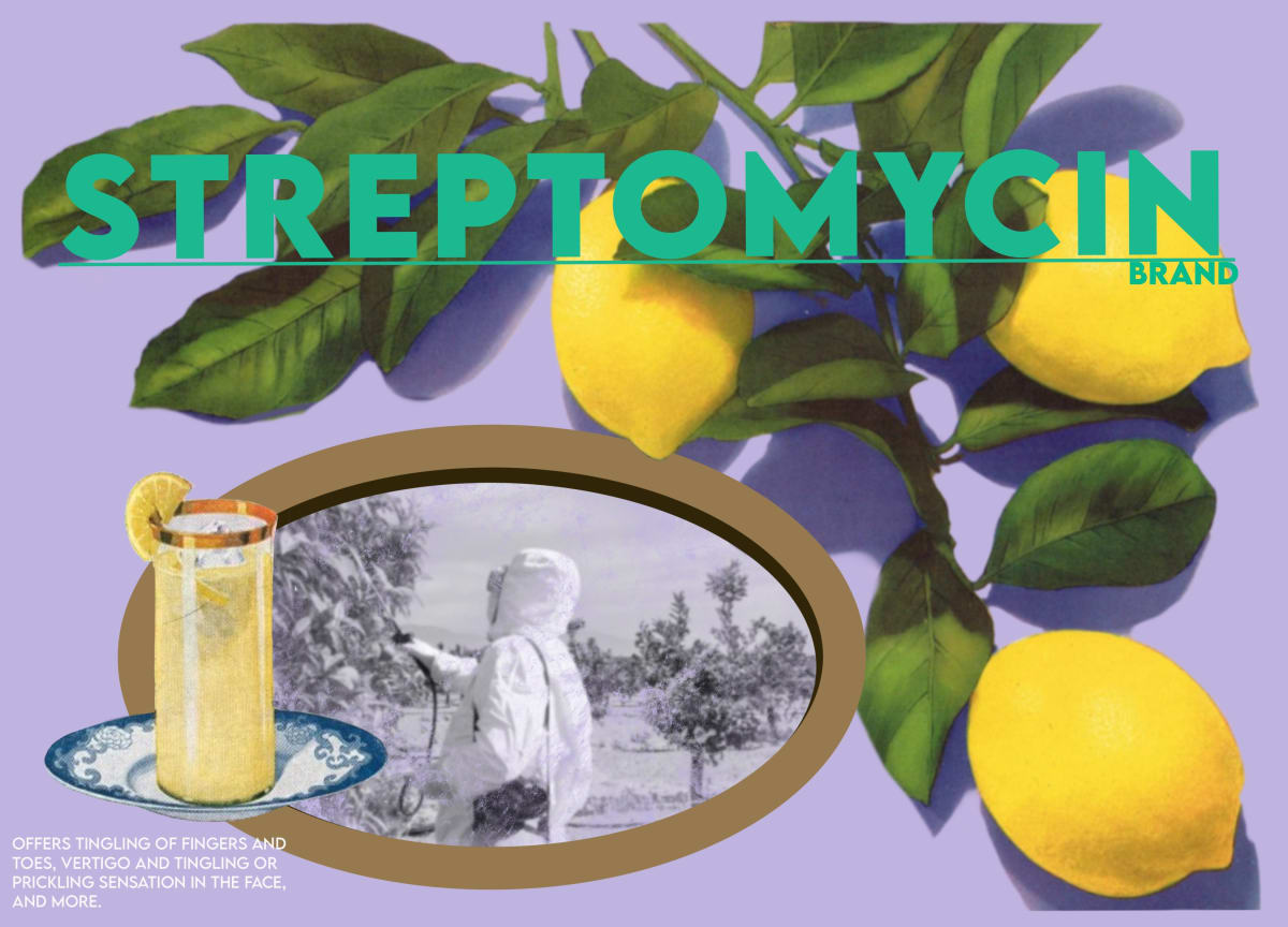 Streptomycin  Image: Streptomycin, 2022, Digital Print, 12.5”x9”, Edition of 5