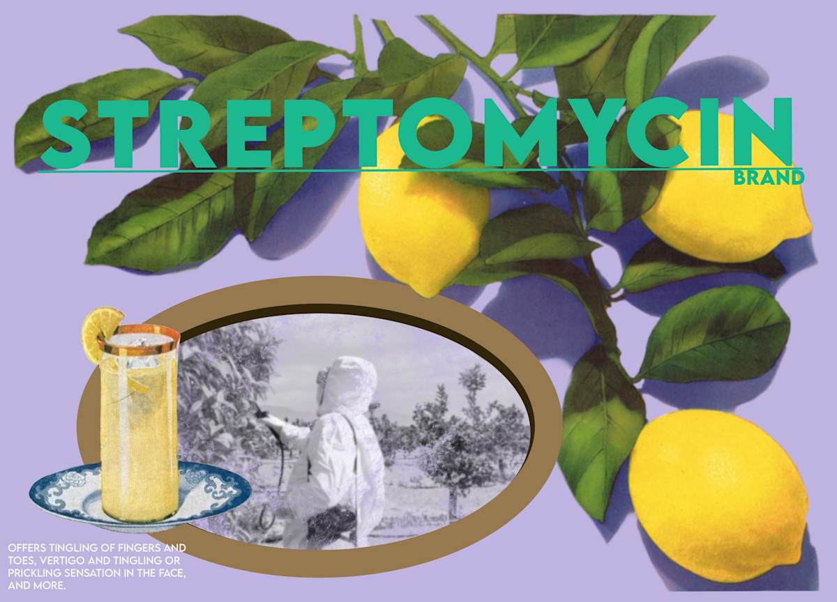 Streptomycin by Suzy Kopf, Image 10.