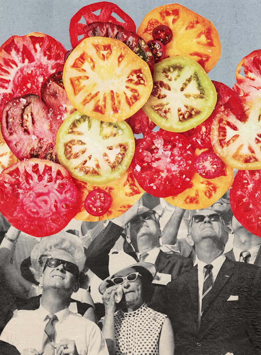 Tomato Launch by Suzy Kopf, Image 6.
