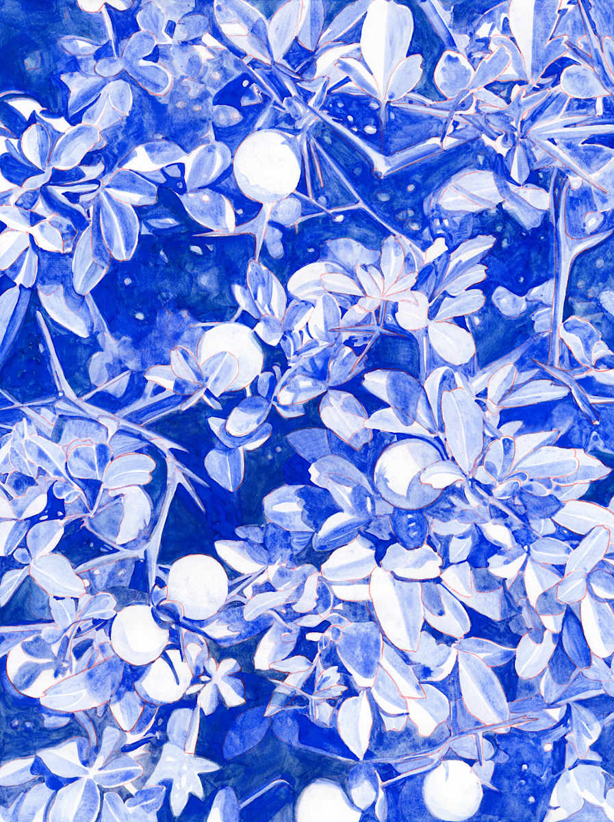 Trifoliate Oranges 2 by Suzy Kopf, Image 2.