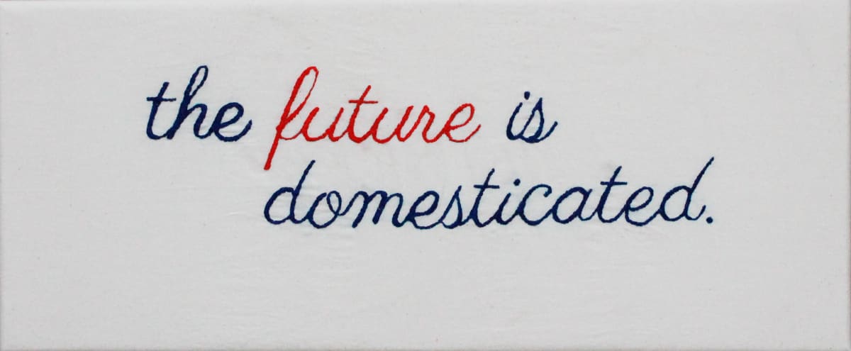 The Future is Domesticated 