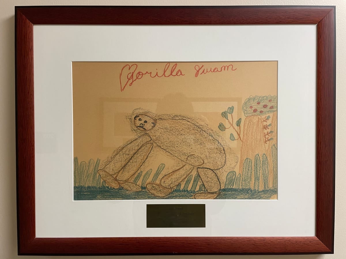 Gorilla by The Gift of Art Collection 