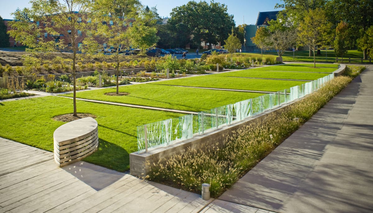 Heber W. Younken Medicinal Garden by Elizabeth Billings, Andrea Wasserman 