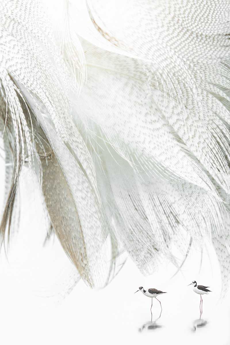 Alix Born _ RV13 by Da Silva Gallery / GALLERyLABS, Image 4.