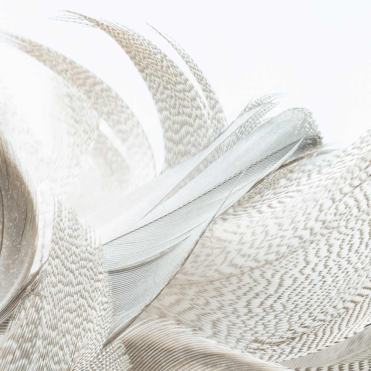 Alix Born _ RV15 by Da Silva Gallery / GALLERyLABS  Image: Virtuous Relationship, Serie _ RV15