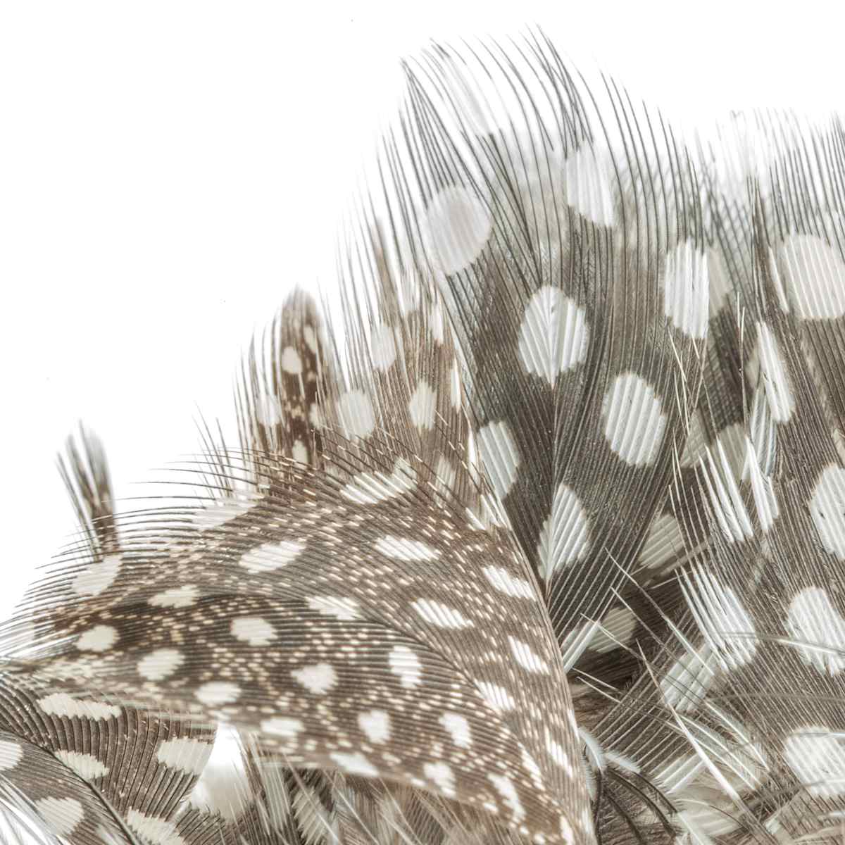 Alix Born _   RV17 by Da Silva Gallery / GALLERyLABS  Image:  Virtuous Relationship, Serie _   RV17