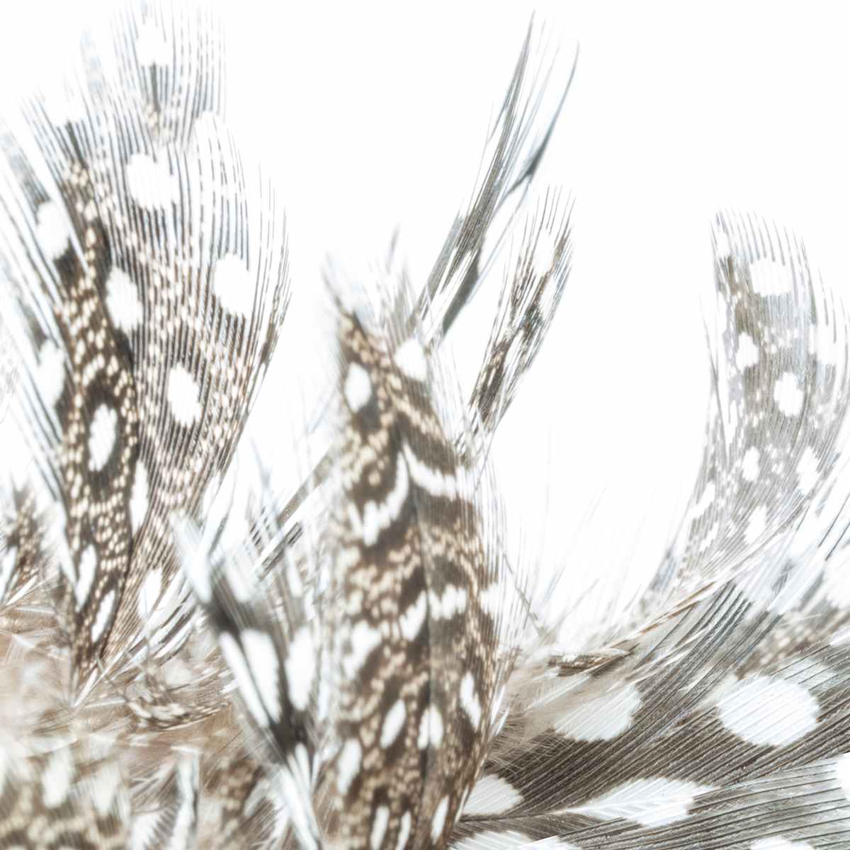 Alix Born _ RV18 by Da Silva Gallery / GALLERyLABS  Image: Virtuous Relationship, Serie _ RV18