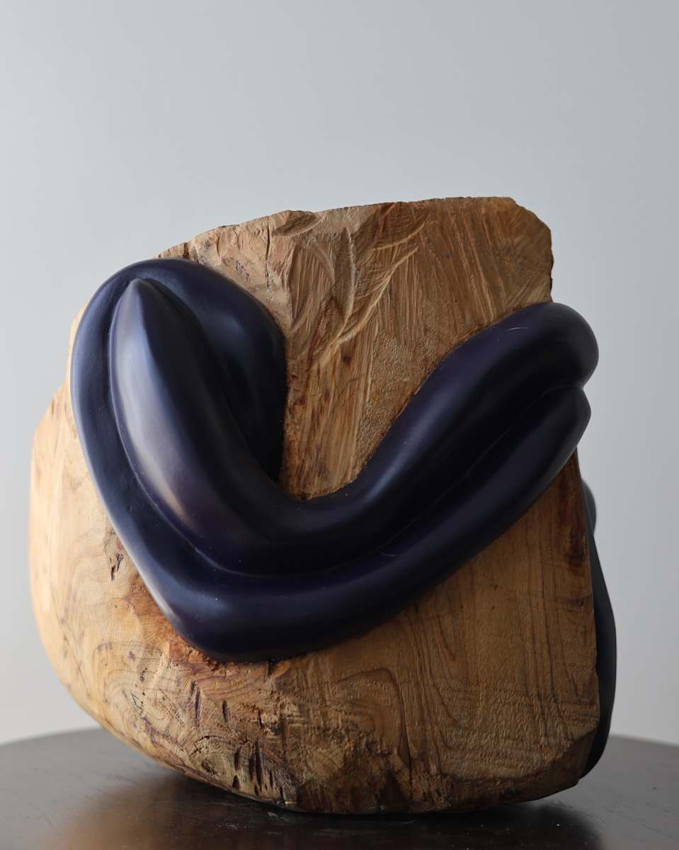 Norberto Estrin - Hug series by Da Silva Gallery / GALLERyLABS, Image 1.