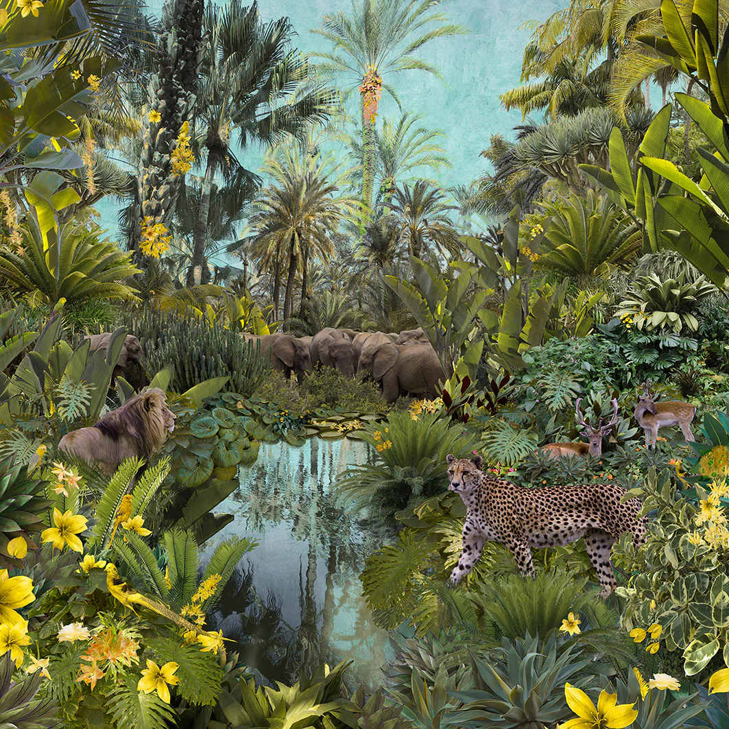 Nadia Attura, Backwater Lake by Da Silva Gallery / GALLERyLABS, Image 2.