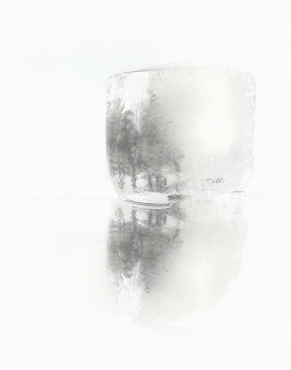 Ines Temperley _ Forest I by Da Silva Gallery / GALLERyLABS  Image: Forest I _ Canson Baryta Photographyque II 310g  _   Edition 3/5