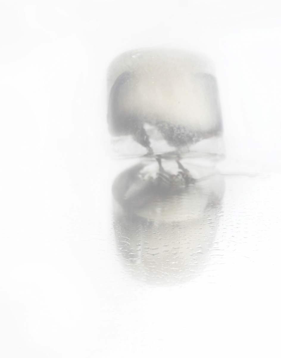 Ines Temperley _ Forest II by Da Silva Gallery / GALLERyLABS  Image: Forest II _Canson Baryta Photographyque II 310g  _ Edition 1/5