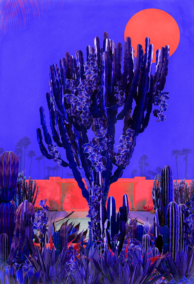 Nadia Attura "Cactus Drive" by Da Silva Gallery/Gallerylabs, Image 9.