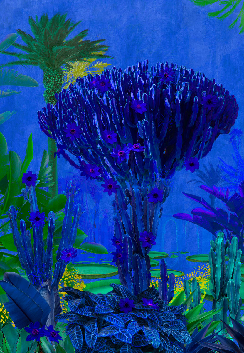 Nadia Attura "Cactus Marrakech" by Da Silva Gallery/Gallerylabs, Image 14.