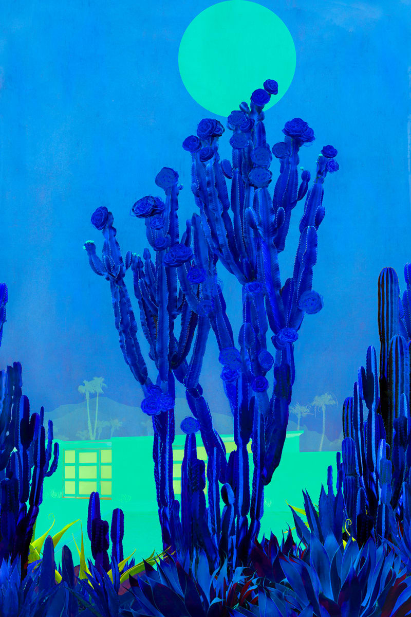 Nadia Attura "Cactus Moonlight" by Da Silva Gallery/Gallerylabs, Image 11.