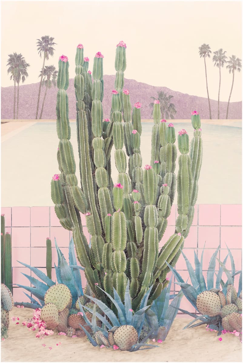 Nadia Attura "Cactus Springs" by Da Silva Gallery/Gallerylabs 