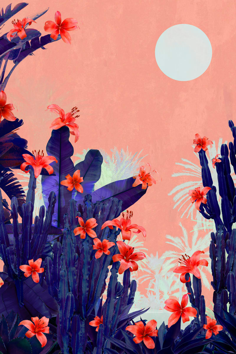 Nadia Attura "Cactus Terrace" by Da Silva Gallery/Gallerylabs, Image 9.