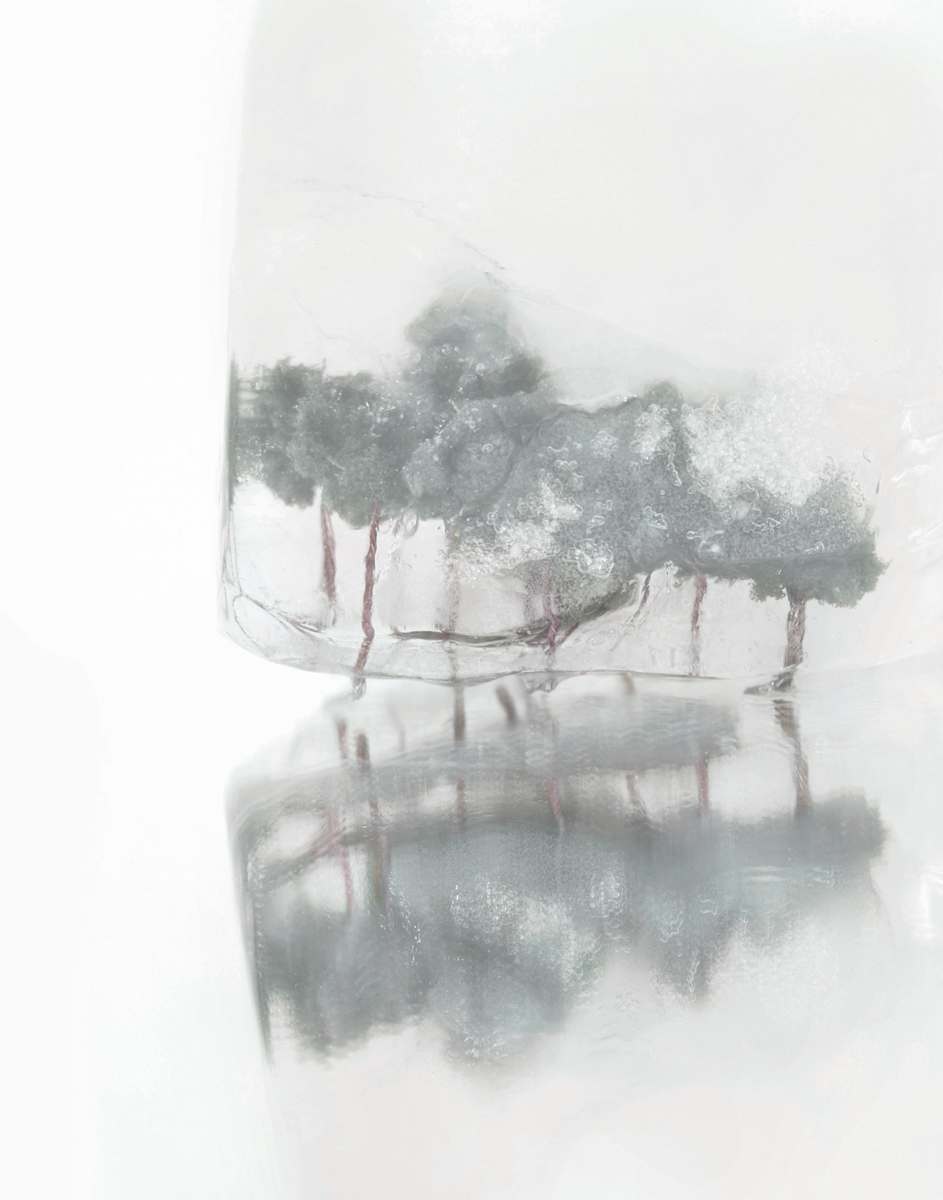 Ines Temperley _ Monte I by Da Silva Gallery / GALLERyLABS  Image: Monte I 
Canson Baryta Photographyque II 310g / Edition 3/15

