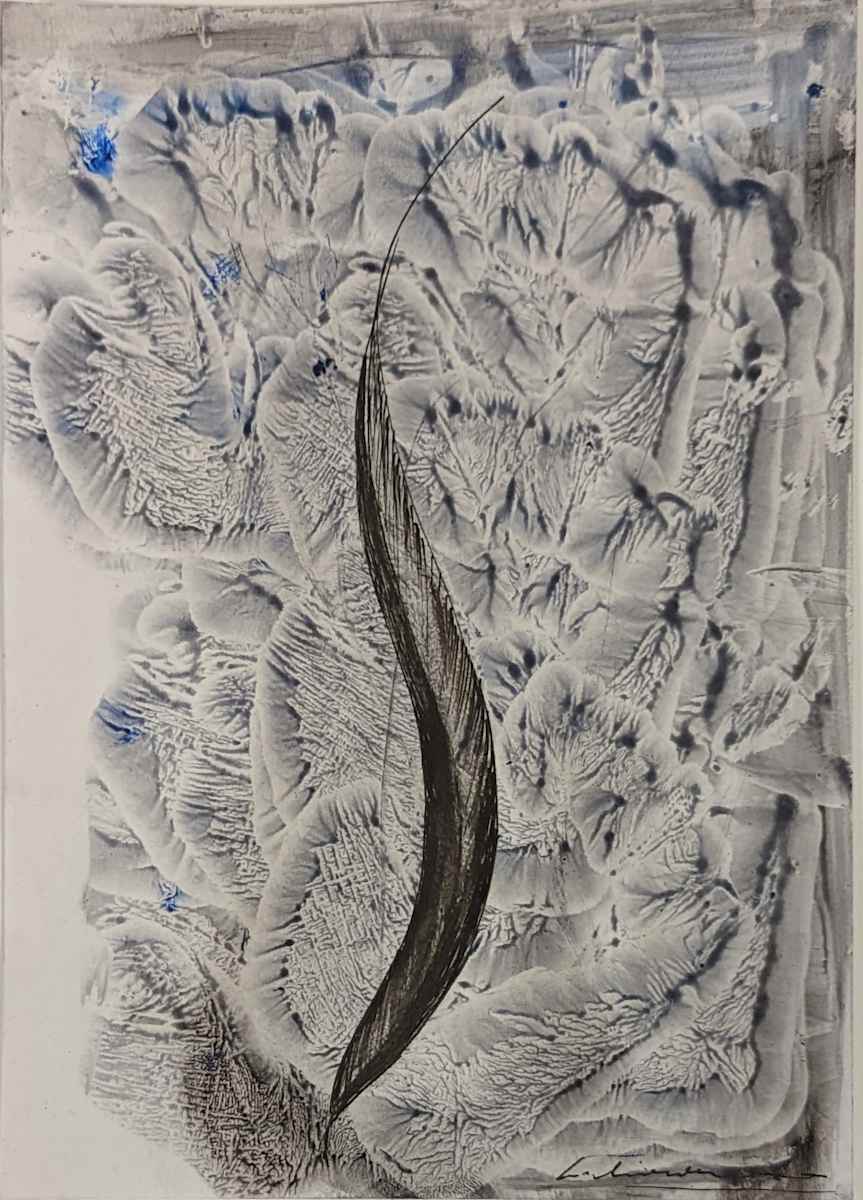 Liliana Livneh, Levedad by Da Silva Gallery / GALLERyLABS, Image 3.