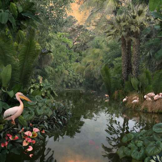 Nadia Attura "Backwaters Sunset" by Da Silva Gallery / GALLERyLABS 