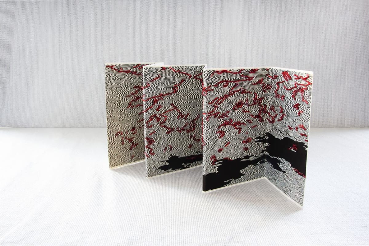 Deborah Jafif Artist's books by Da Silva Gallery / GALLERyLABS, Image 3.