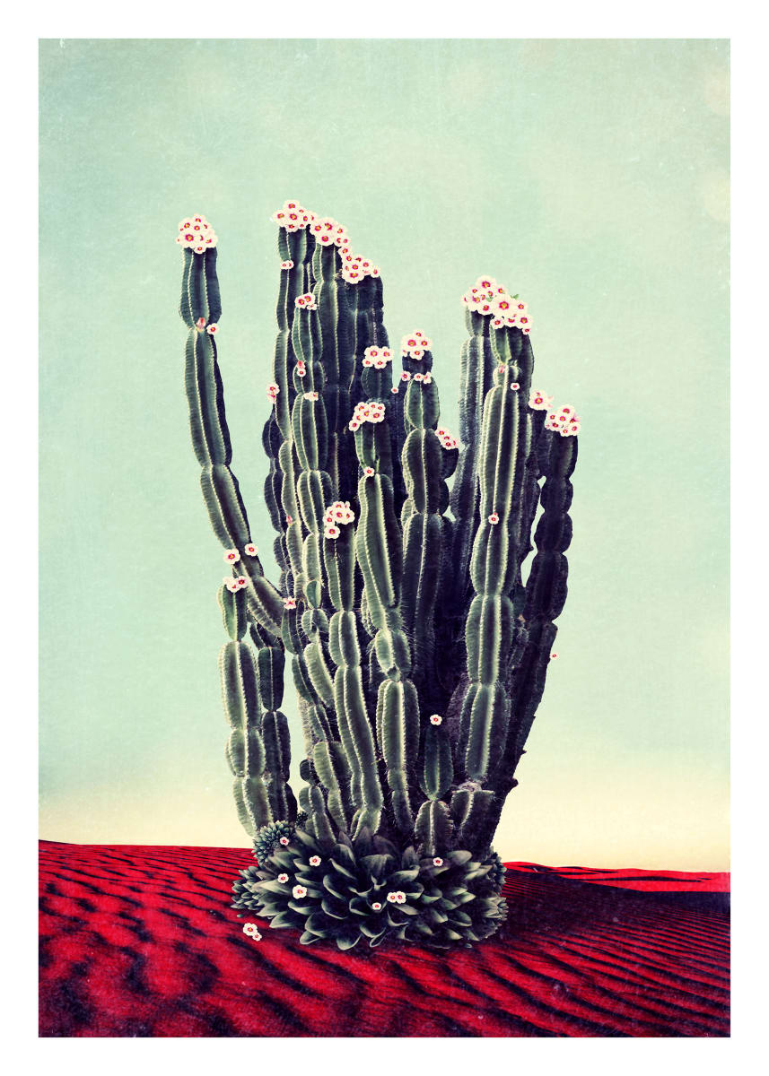 Nadia Attura "Desert Flowers" by Da Silva Gallery/Gallerylabs, Image 11.