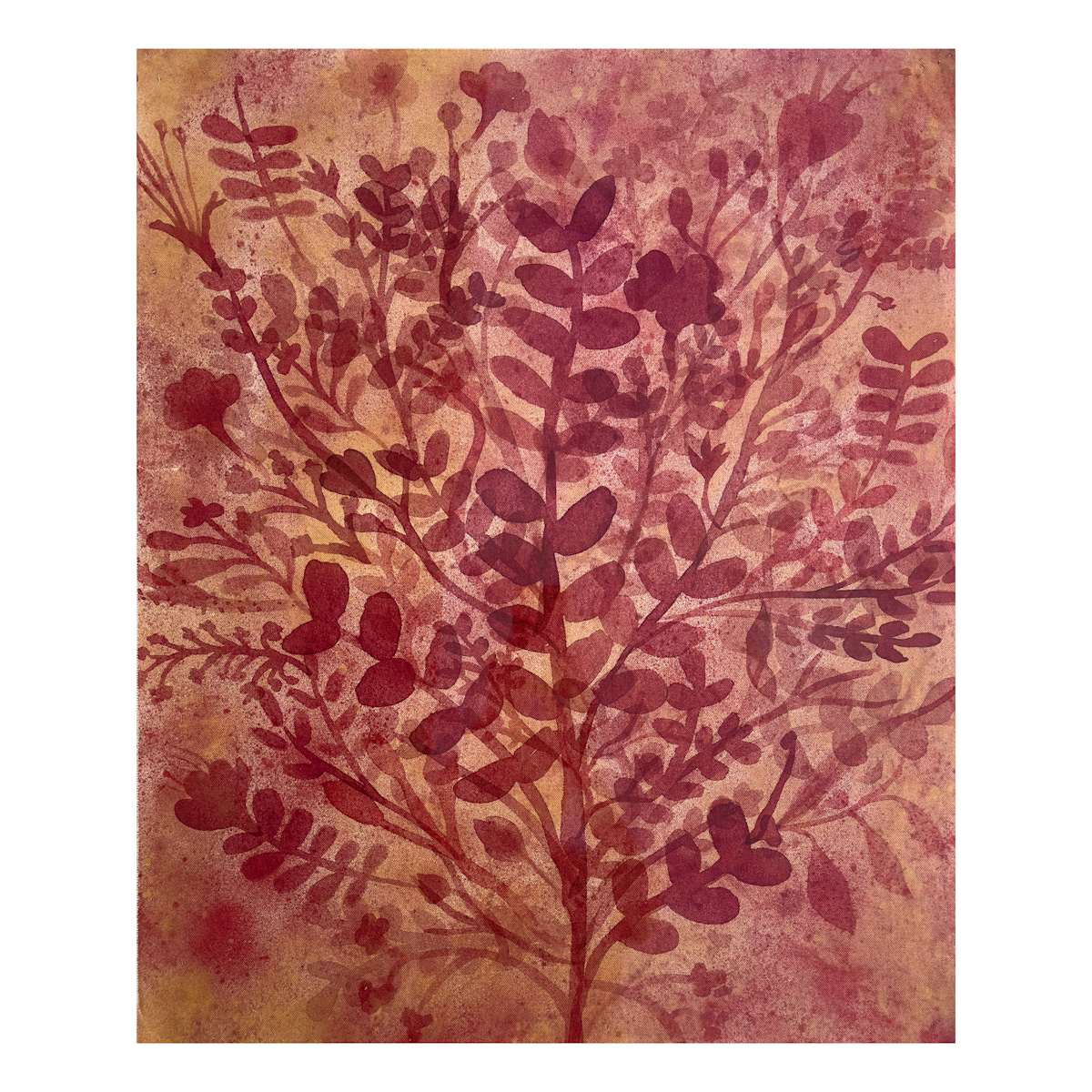 Fernanda Froes / Imaginary Flora by Da Silva Gallery / GALLERyLABS  Image: Imaginary Flora 
From the series "Ibirapitanga," 2023 
Brazilwood-dyed cotton on raw calico cotton 