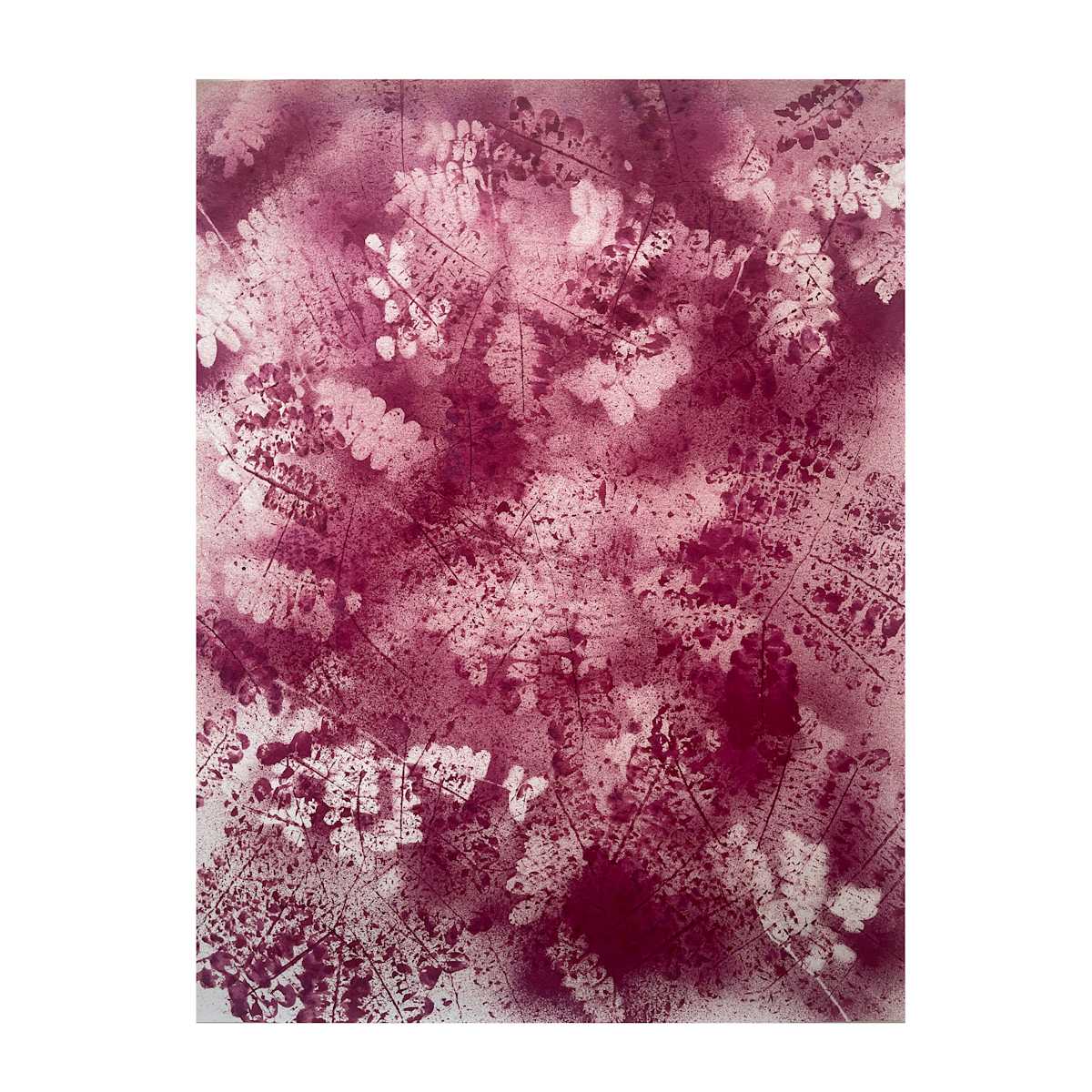 Fernanda Froes / Utopic Forest 12 by Da Silva Gallery / GALLERyLABS  Image: Utopic Forest 12 
(with a place in America) 
From the series "Ibirapitanga," 2023 
Monotypes, Brazilwood dye on cotton paper - unique work 