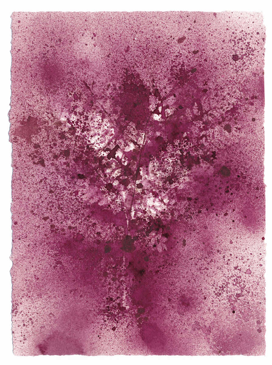 Fernanda Froes, Utopic Flora 10 by Da Silva Gallery / GALLERyLABS, Image 1.
