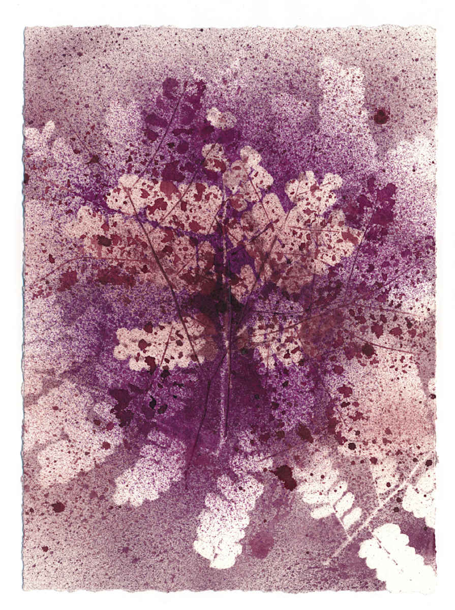 Fernanda Froes, Utopic Flora 3 by Da Silva Gallery / GALLERyLABS  Image: Utopic Flora 3 
(with a Place in America)  
From the series "Ibirapitanga," 
 Brazilwood dye on paper 
9 Monotypes (unique pieces)
 12 x 9 in each (unframed)
 17x14 in each (framed)