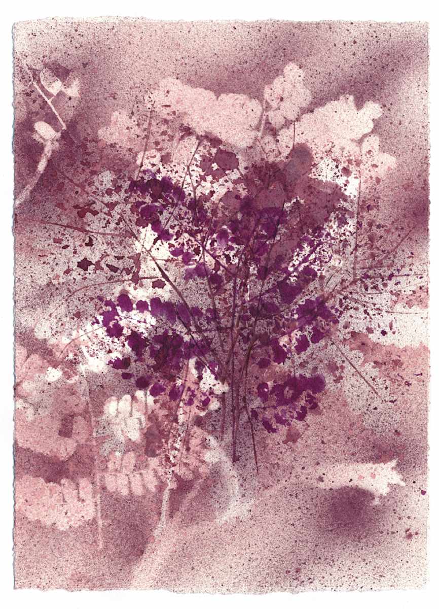 Fernanda Froes, Utopic Flora 4 by Da Silva Gallery / GALLERyLABS  Image: Utopic Flora 4 
(with a Place in America)  
From the series "Ibirapitanga," 
Brazilwood dye on paper 
9 Monotypes (unique pieces)
2 x 9 in each (unframed)
17x14 in each (framed)