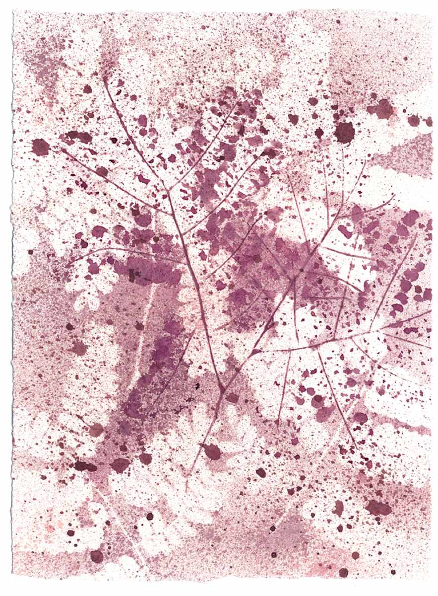 Fernanda Froes, Utopic Flora 7 by Da Silva Gallery / GALLERyLABS  Image: Utopic Flora 7 
(with a Place in America)  
From the series "Ibirapitanga," 
 Brazilwood dye on paper 
9 Monotypes (unique pieces)
 12 x 9 in each (unframed)
 17x14 in each (framed)