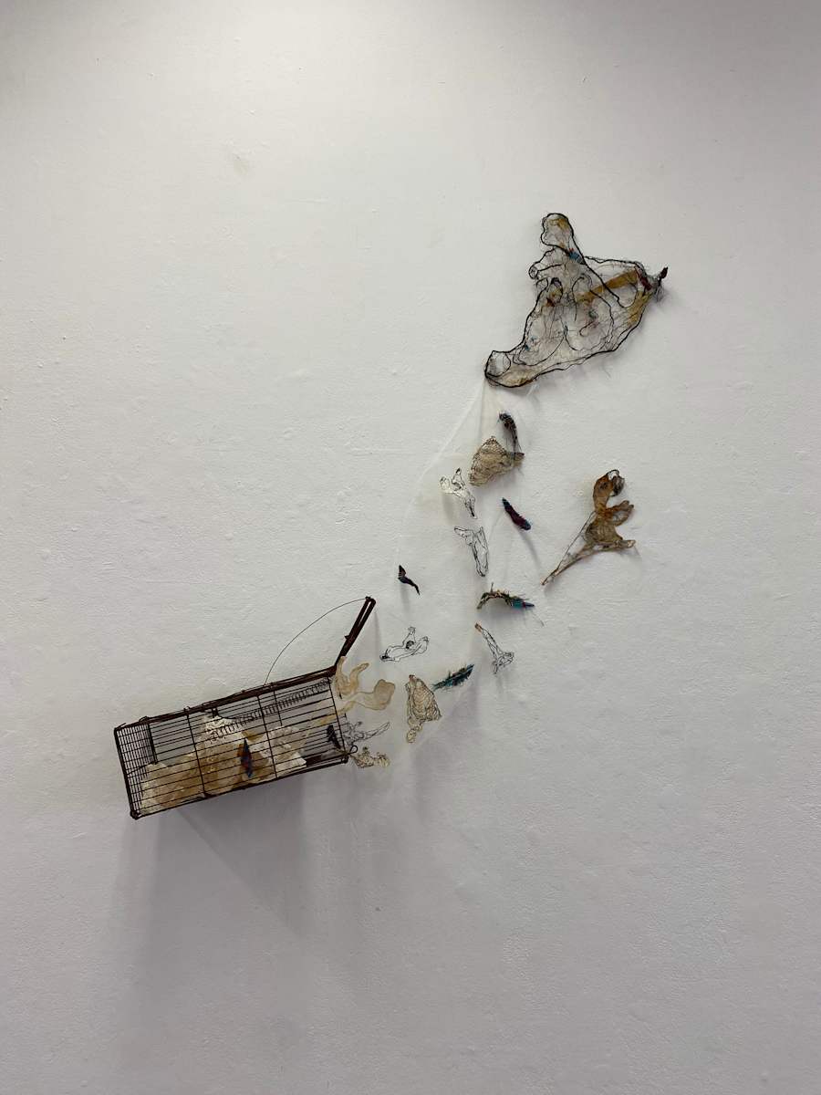 Untitled (Scapulae) by Juliet D Collins  Image: Untitled Installation (Scapulae)