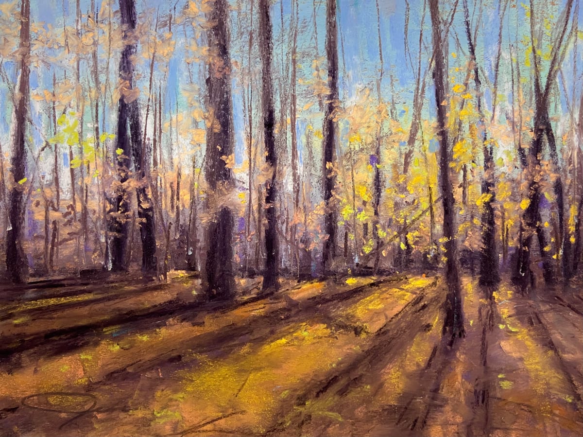 Autumn Shadows by Jennifer Shuey 