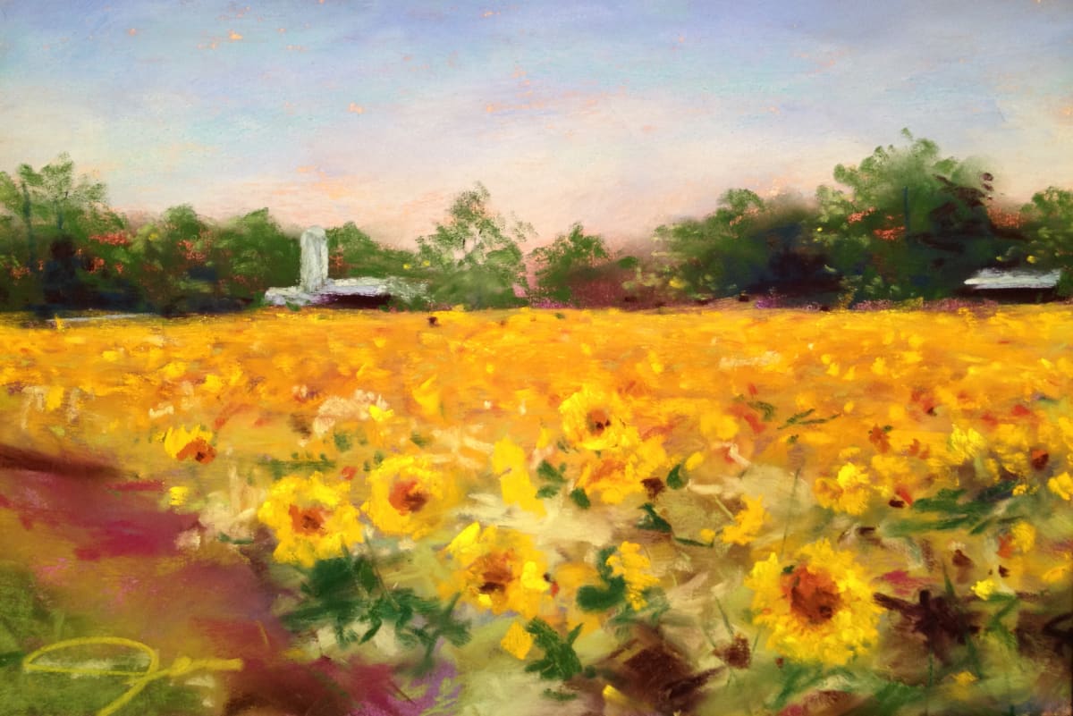 Field of Sunflowers 