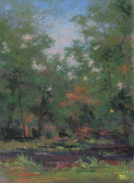 Summer Stream Scene 