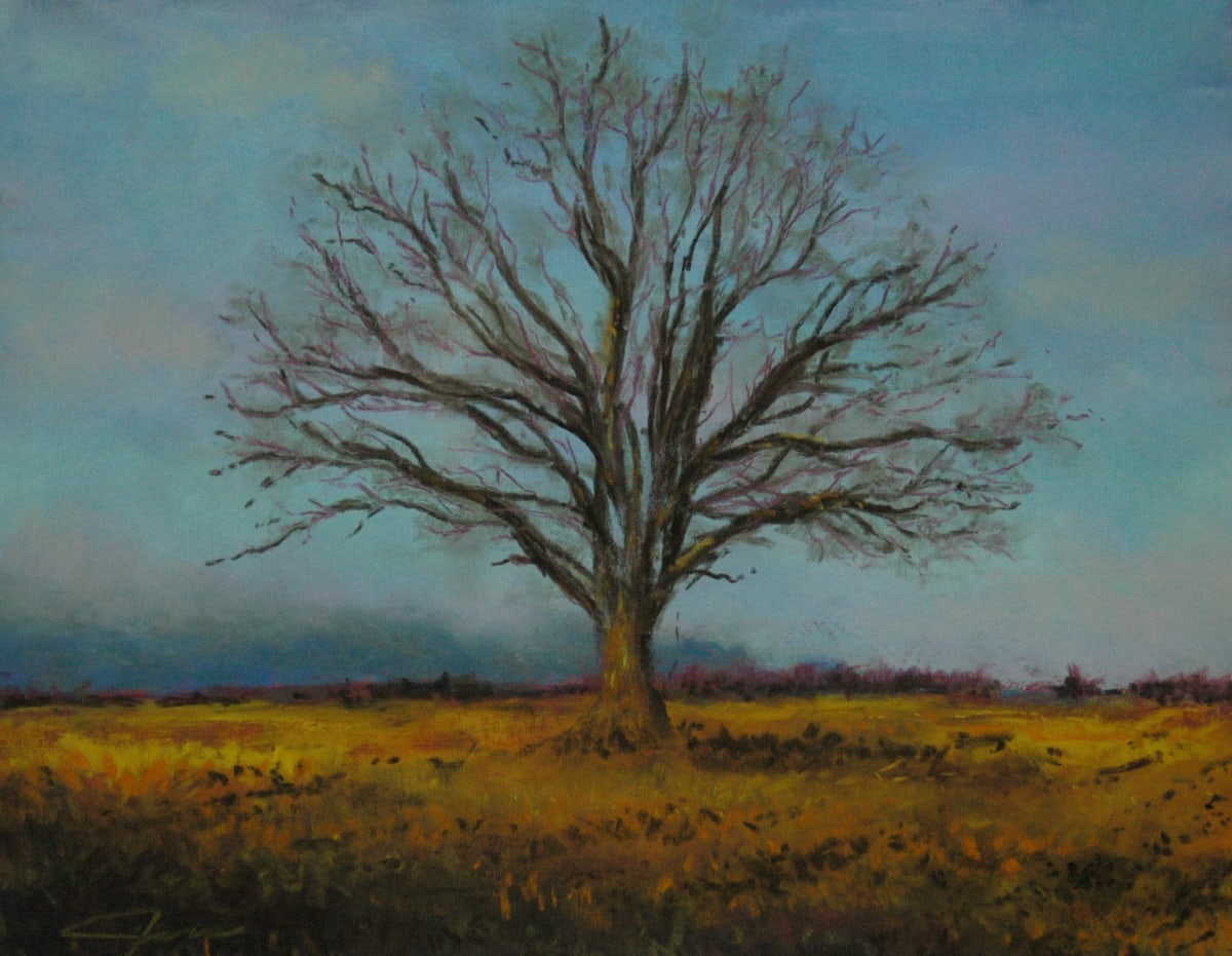 The Resting Tree 