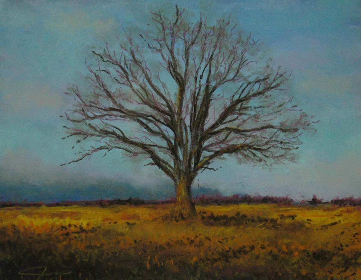 The Resting Tree, Image 1.