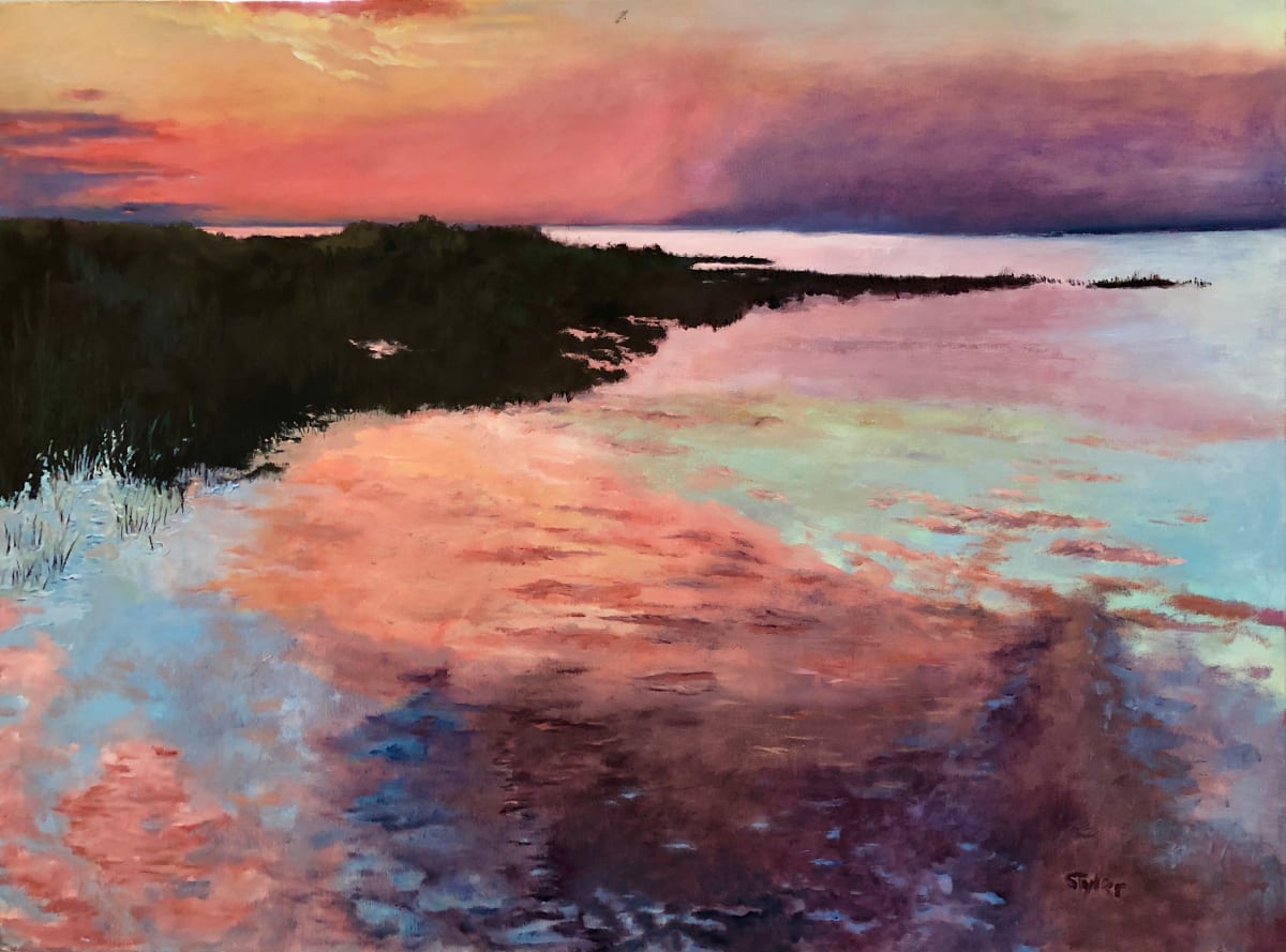 West Galveston Sunset by susan tyler 